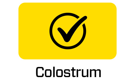 Colostrum