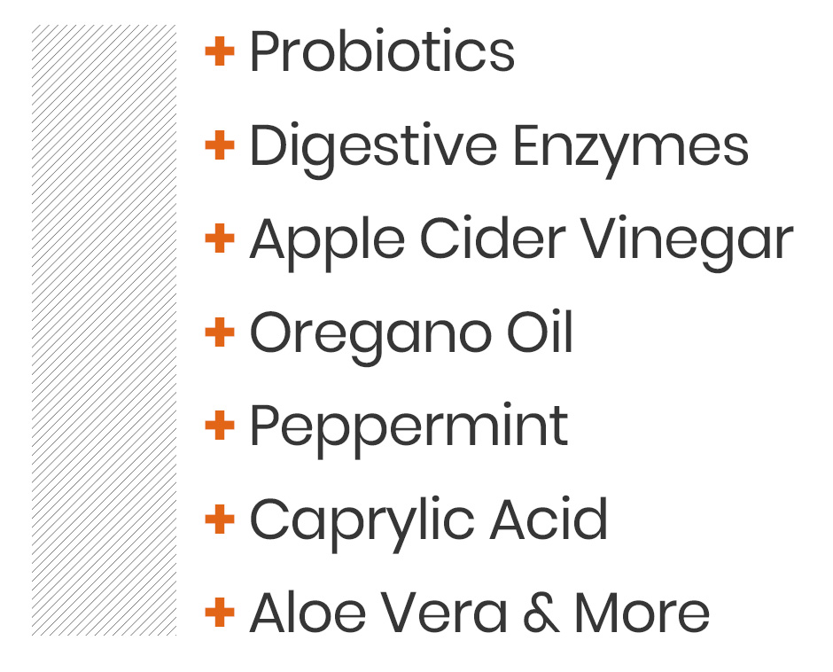 Probiotics, Digestive enzymes, apple cider vinegar, oregano oil, peppermint, caprylic acid, aloe vera and more
