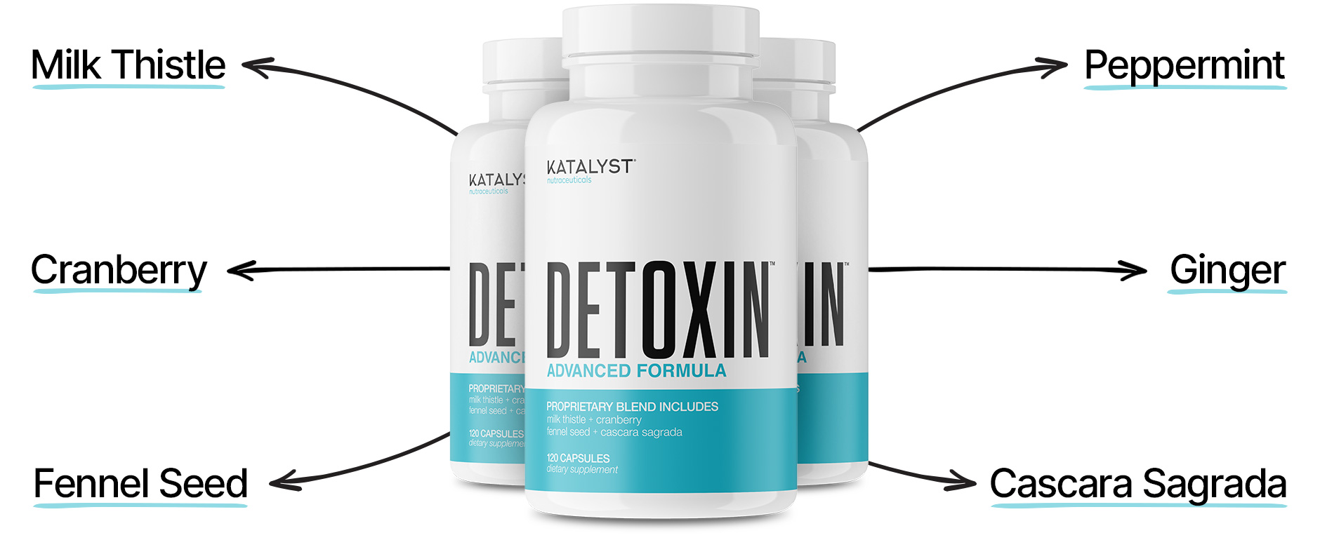 What's in detoxin? Milk Thistle, Cranberry, Fernal Seed, Peppermint, Ginger, Cascara Sagrada