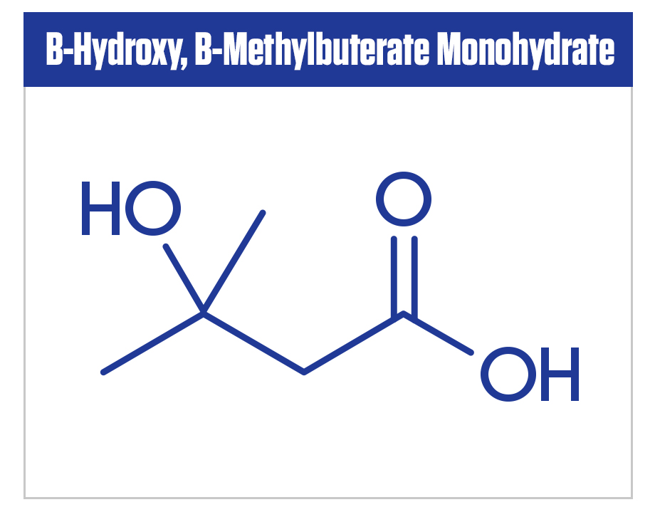 Molecule diagram of B Hydroxy and B Methylbuterate Monohydrate