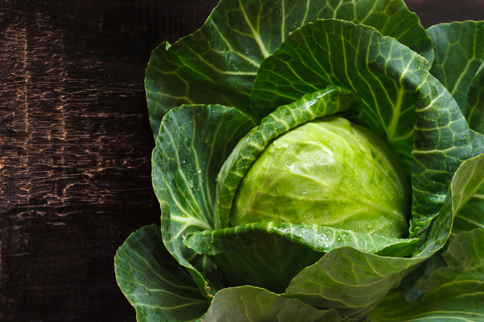 close up of a head of lettuce