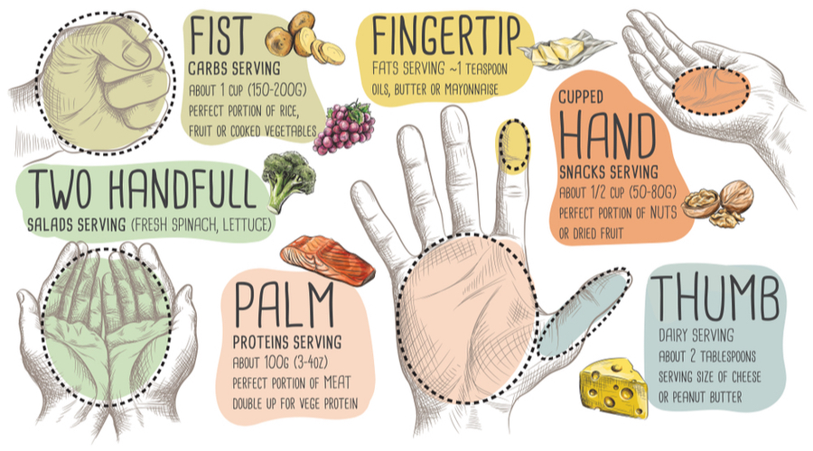 Graphic of how to use your hand for portion sizing