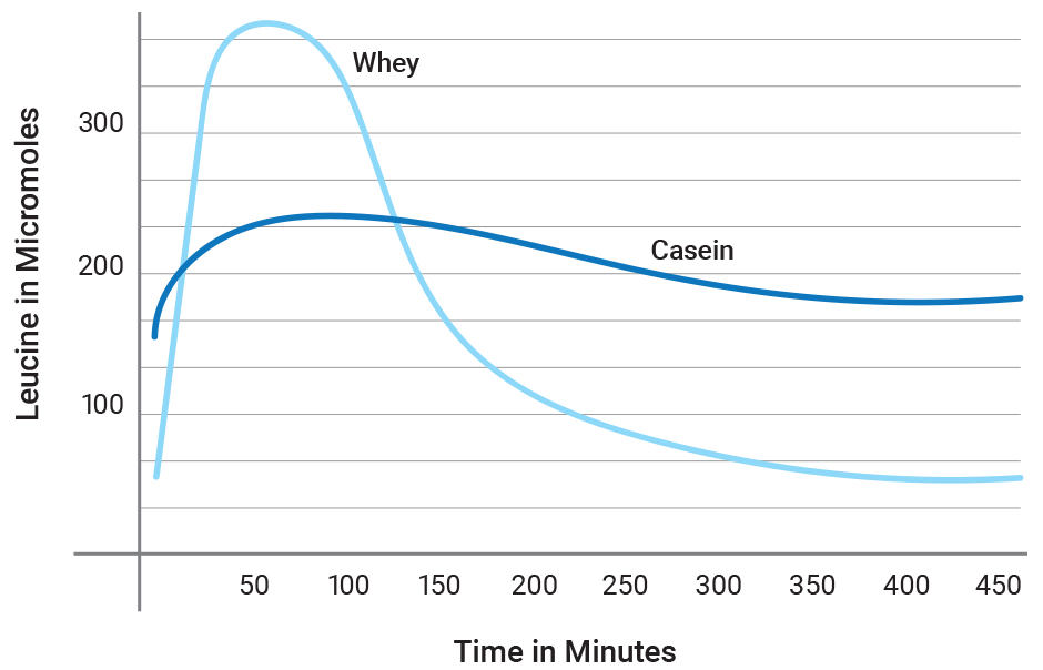 Casein digestion chart