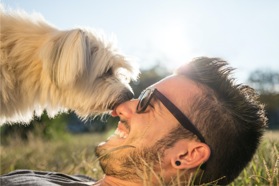 Close up of a dog licking a man's face