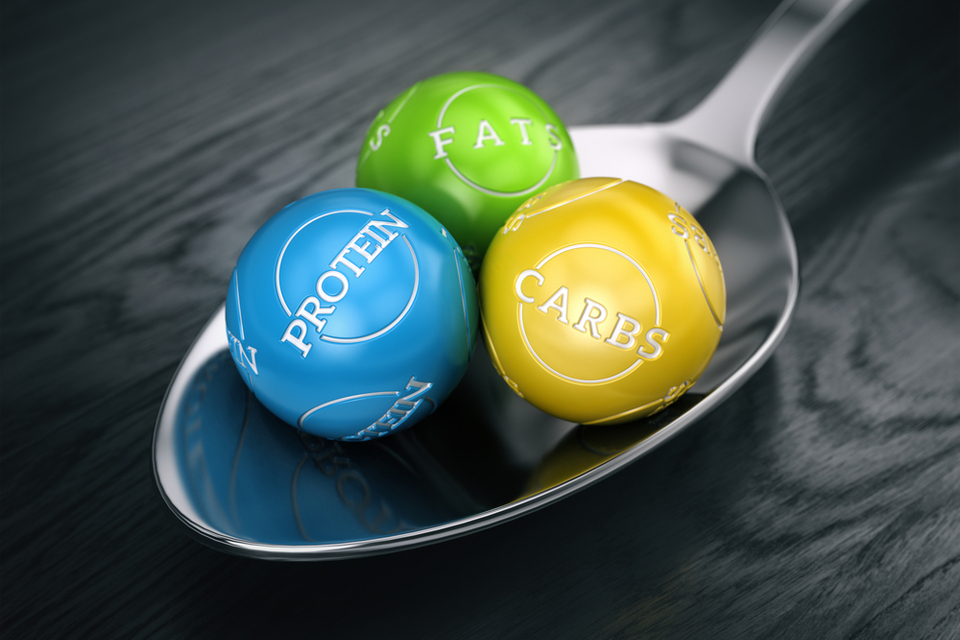 Spoon containing three balls labeled, protein, carbs, fats