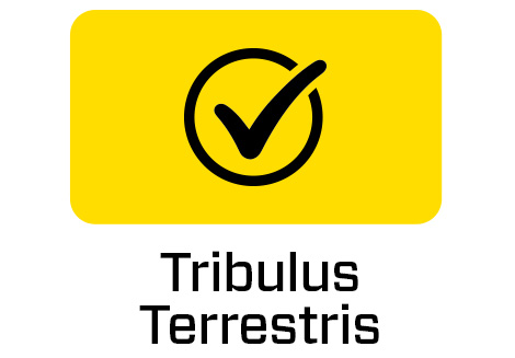 Tribulus Terrestris