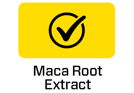 Maca Root Extract
